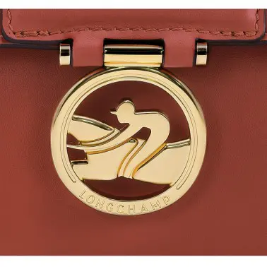 Médaille Longchamp sur sac box-trot acajou