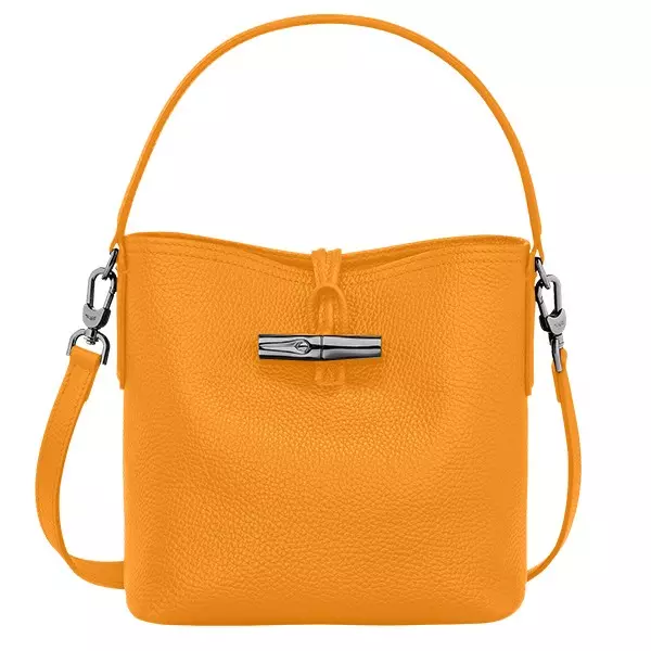 sac seau Roseau S Orange Longchamp