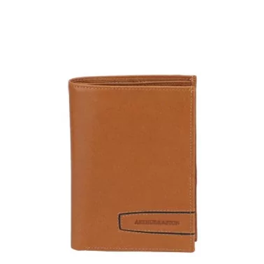 Arthur & Aston – Grand portefeuille Léon