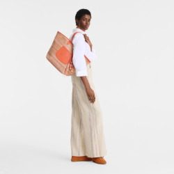 Longchamp - Grand panier Le Pliage Rainbow