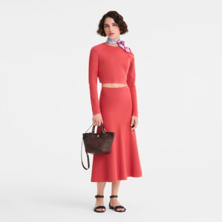 Longchamp - Panier porté main Le Pliage XS